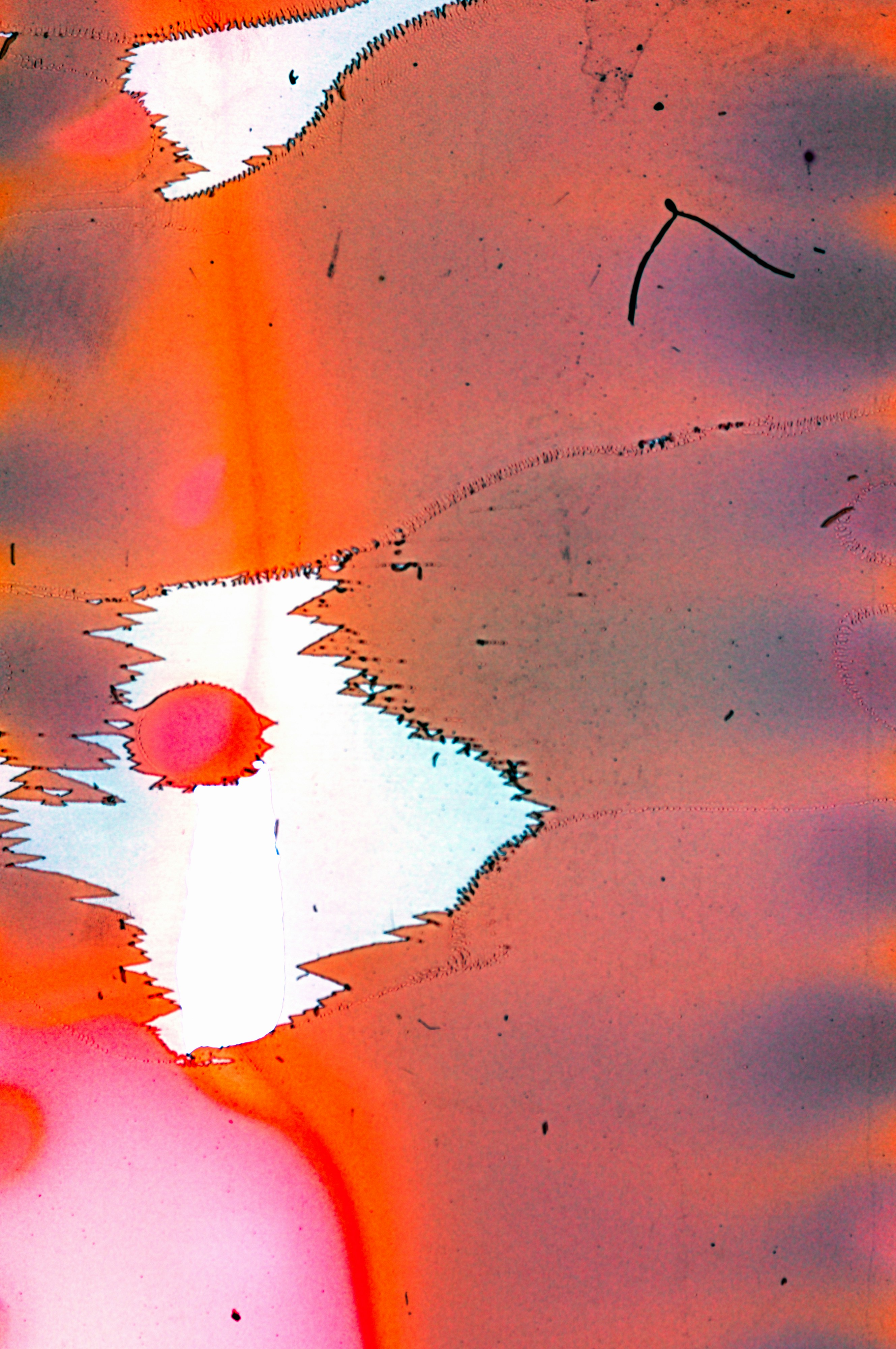 7 puntos clave del doble reporte de emisiones de alcance 2