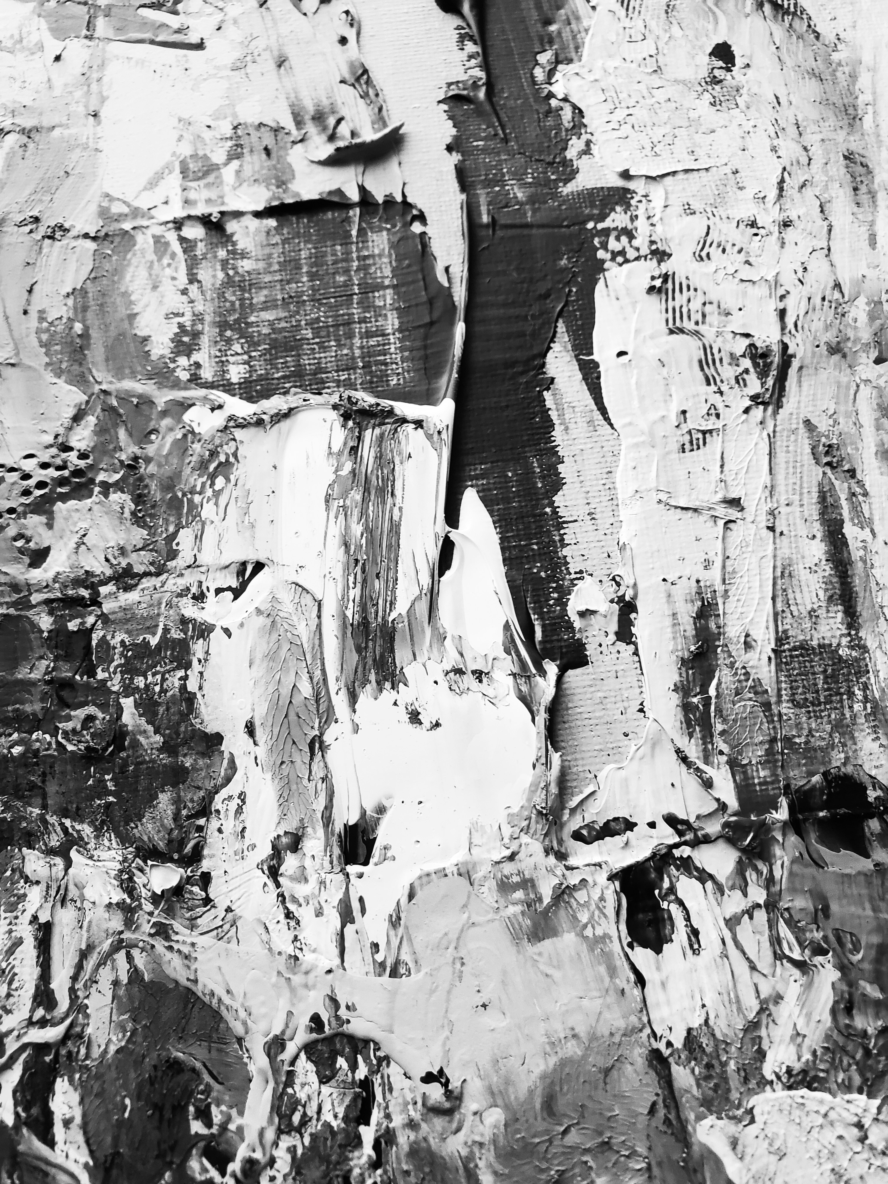 Organization Tree Now Available via API