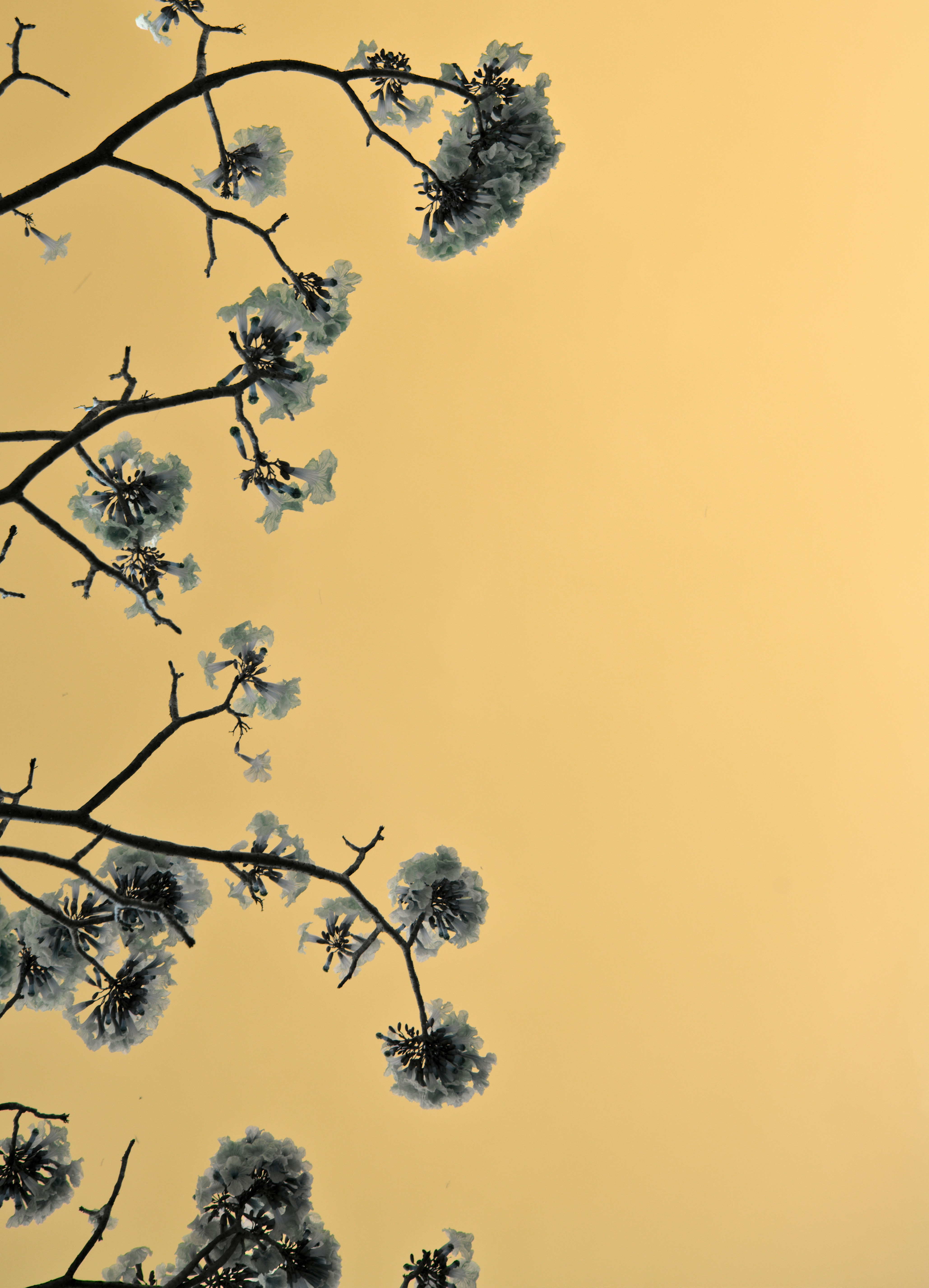 Las 10 Mejores Soluciones de Software Net Zero en 2026