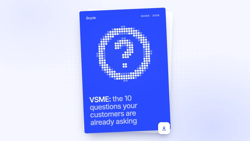 VSME: the 10 questions your customers are already asking